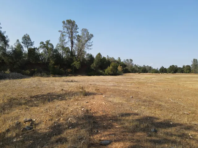 a view of yard covered with snow