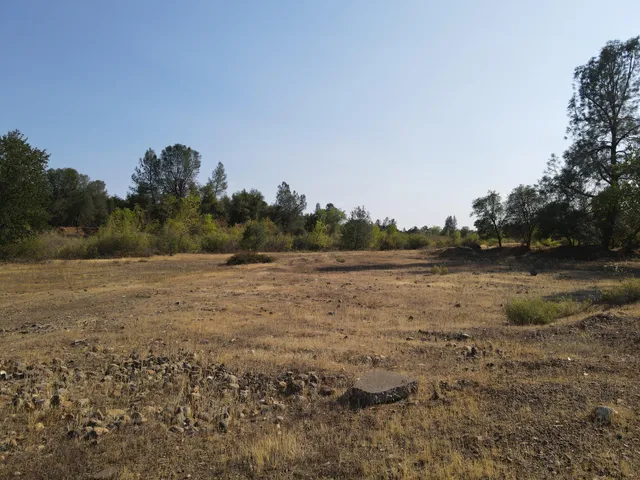 a view of outdoor space with trees