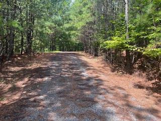 Na Emelia Road Morganton, GA 30560 - Photo 1 of 5 Main View