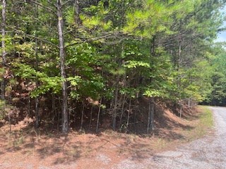 Na Emelia Road Morganton, GA 30560 - Photo 2 of 5
