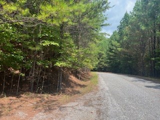 Na Emelia Road Morganton, GA 30560 - Photo 3 of 5
