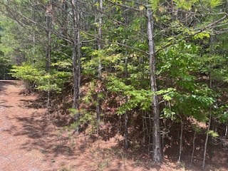 Na Emelia Road Morganton, GA 30560 - Photo 4 of 5