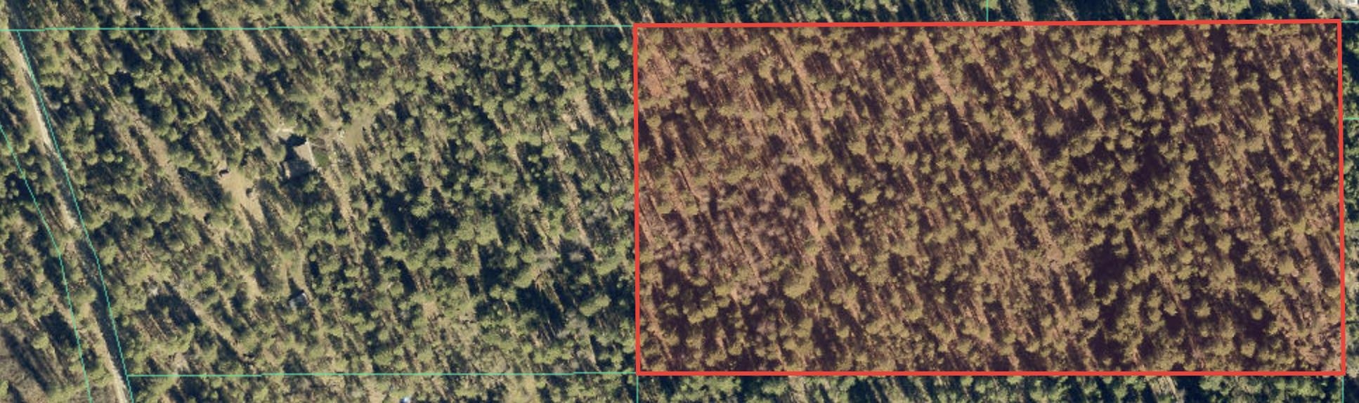 Nka North Austin Road Spokane, WA 99208 - Photo 7 of 10