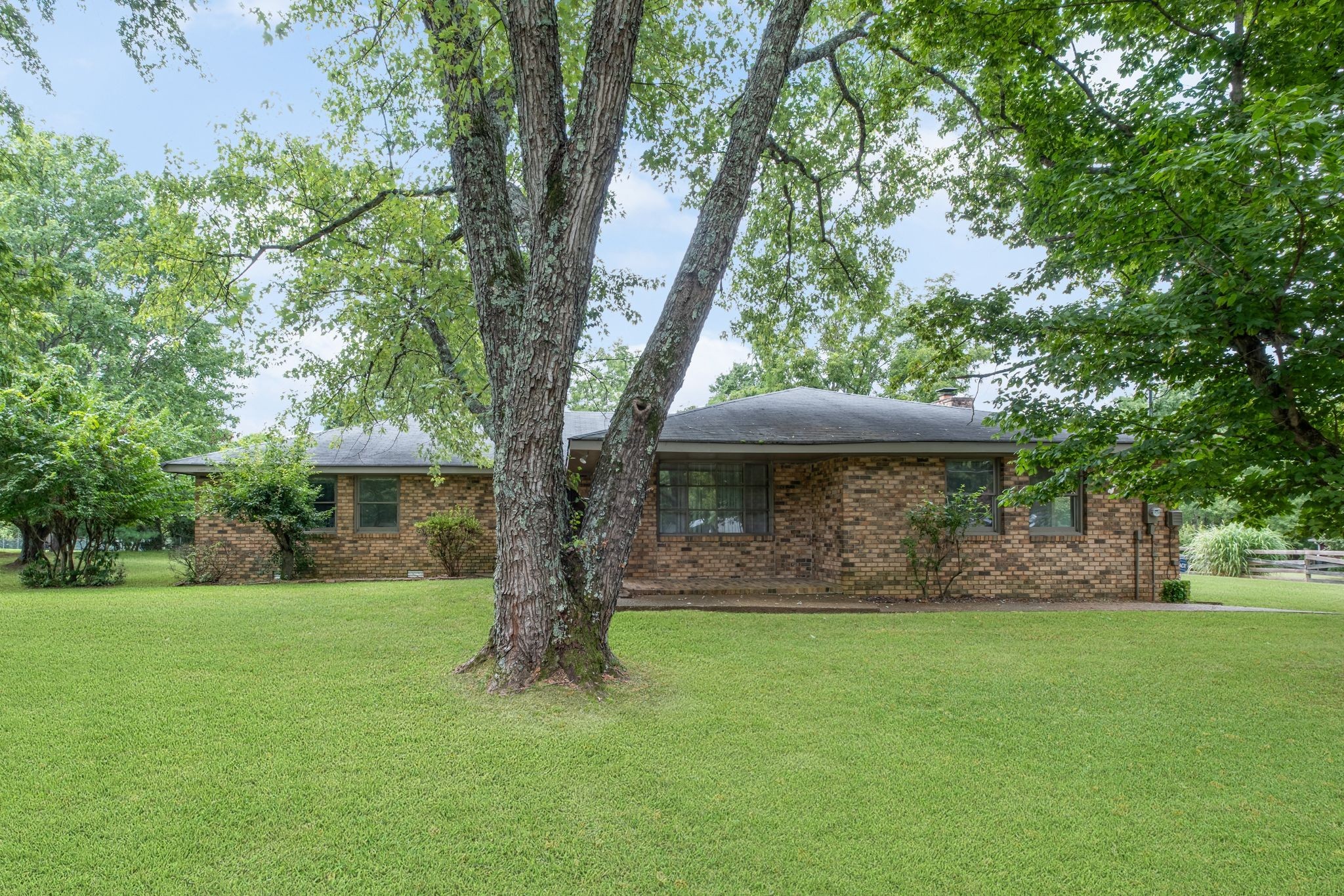 a view of a yard with a tree