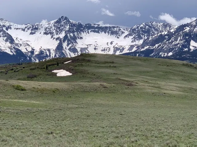 a view of outdoor space and yard