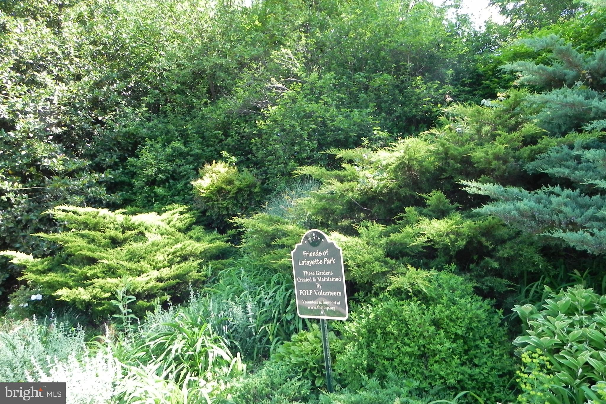 5918 Broad Branch Road Northwest Washington, DC 20015 - Photo 41 of 44 Lafayette Park Directly Across the Street
