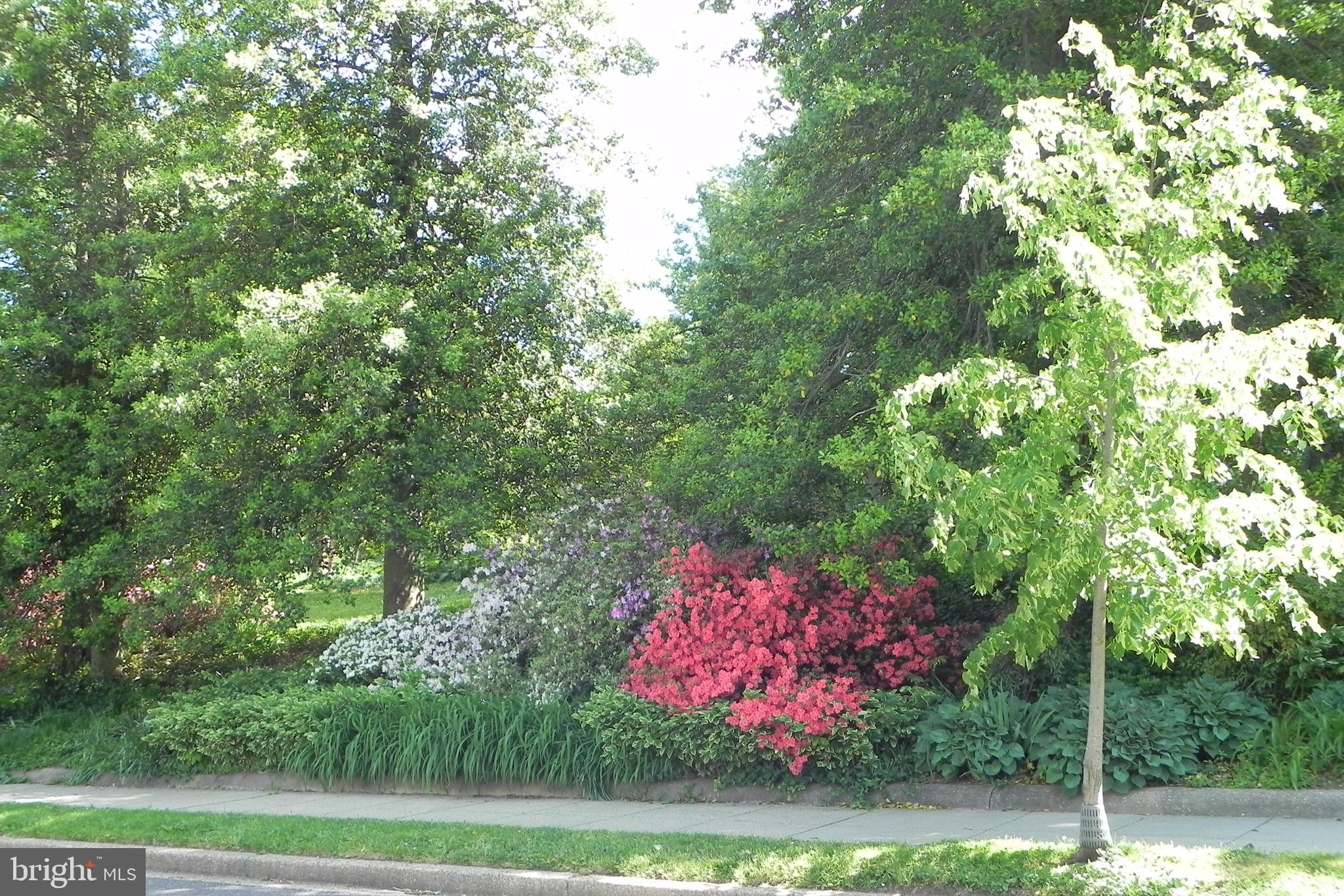 5918 Broad Branch Road Northwest Washington, DC 20015 - Photo 42 of 44 Lafayette Park