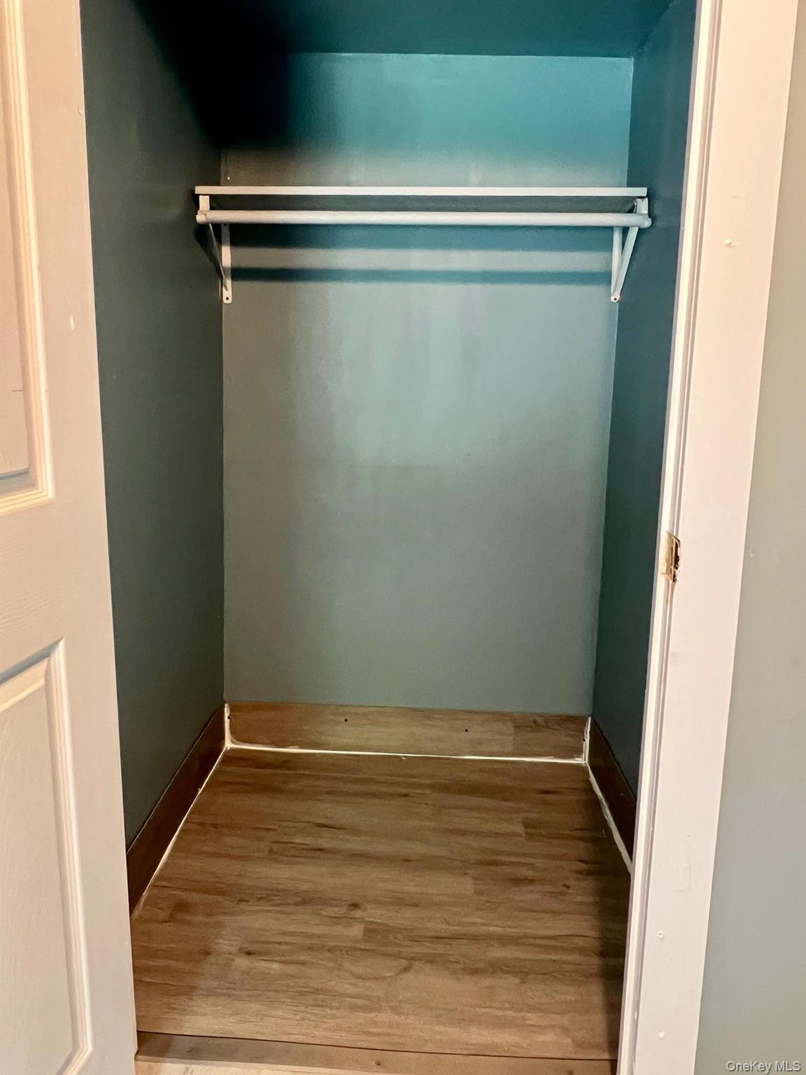 286 Crum Elbow Road, Unit 3 Hyde Park, NY 12538 - Photo 3 of 15 Closet in living room