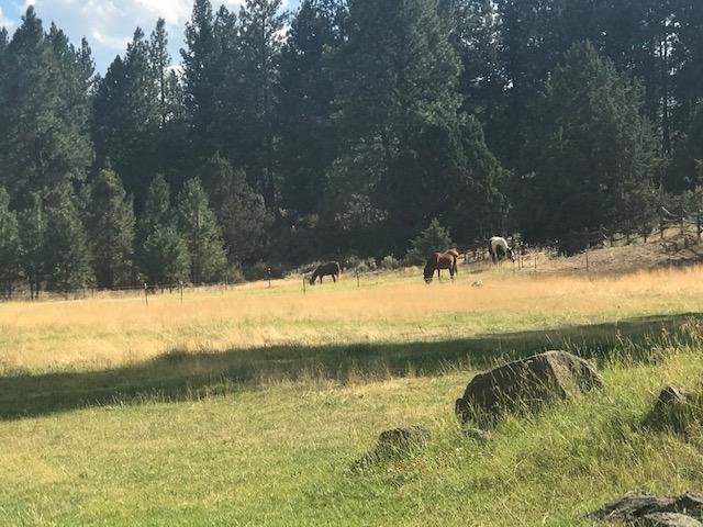21385 Back Alley Road Bend, OR 97702 - Photo 14 of 23 IMG_2640