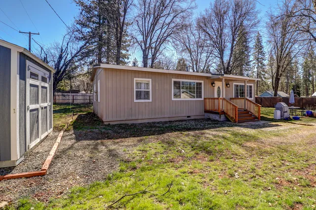 a view of a backyard with a large tree
