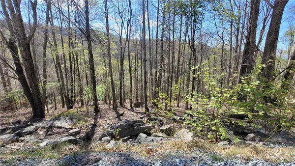 $25,000 | 236 Wild Daisy Lane, Beech Mountain, NC 28604