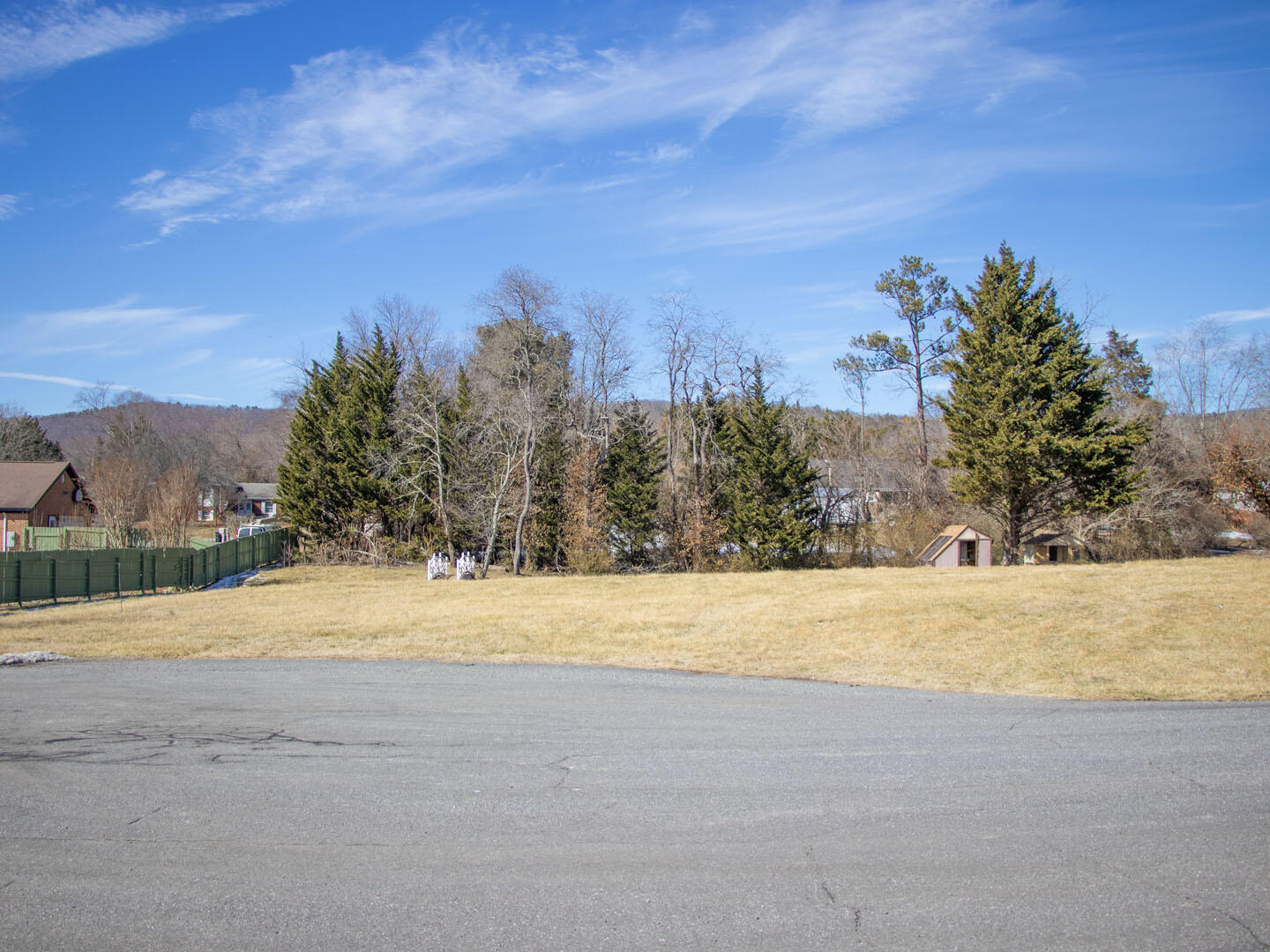 0 Tinkerdale Road Roanoke, VA 24019 - Photo 3 of 8 a view of big yard with large trees