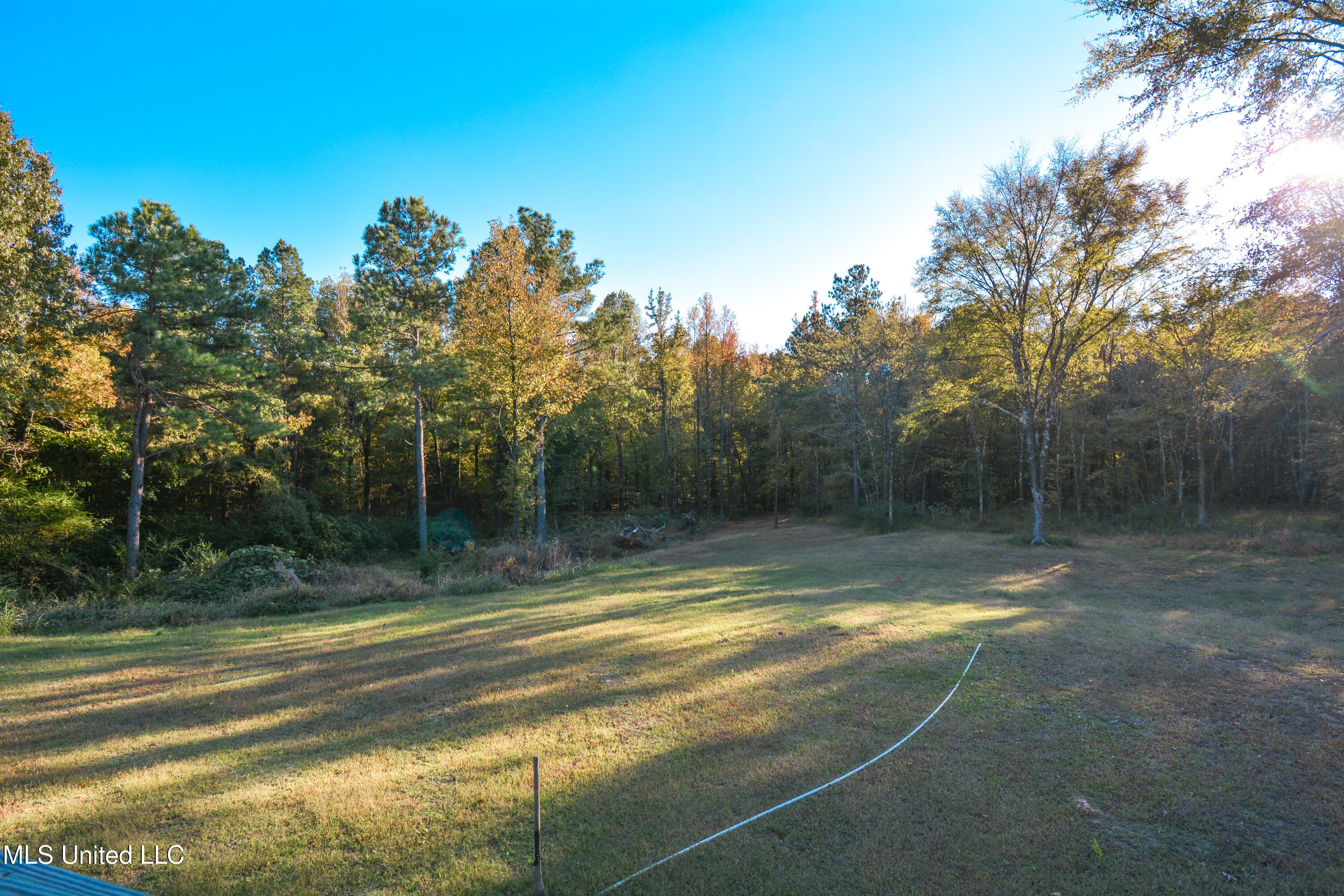 1459 French Road Byhalia, MS 38611 - Photo 11 of 51 DSC_0100