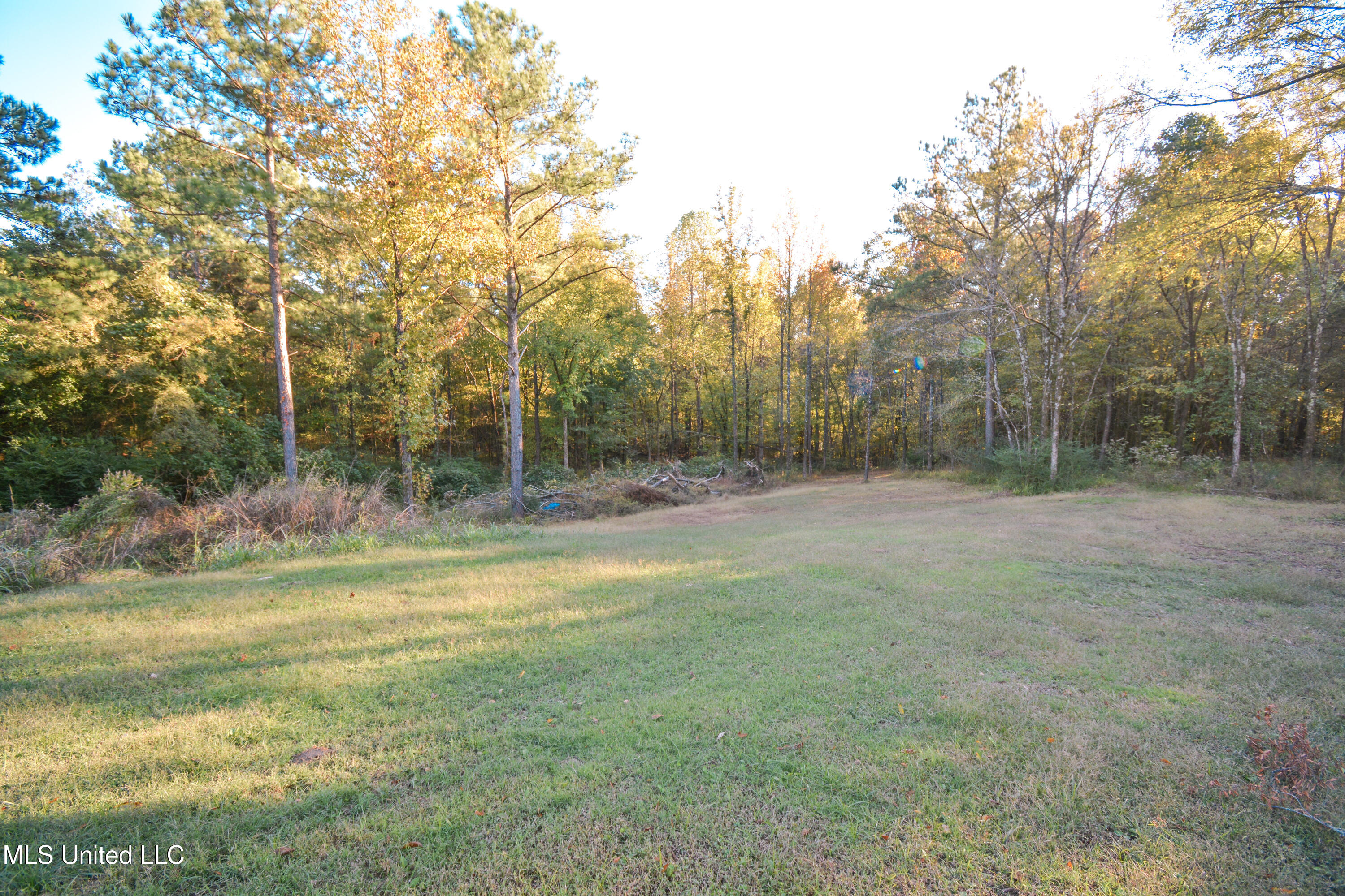 1459 French Road Byhalia, MS 38611 - Photo 13 of 51 DSC_0104