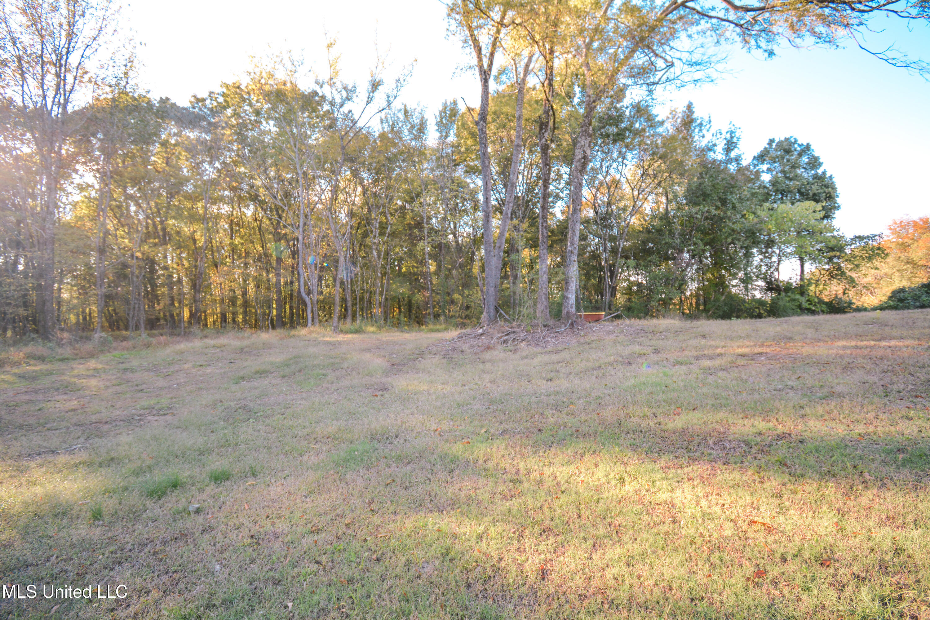 1459 French Road Byhalia, MS 38611 - Photo 14 of 51 DSC_0105