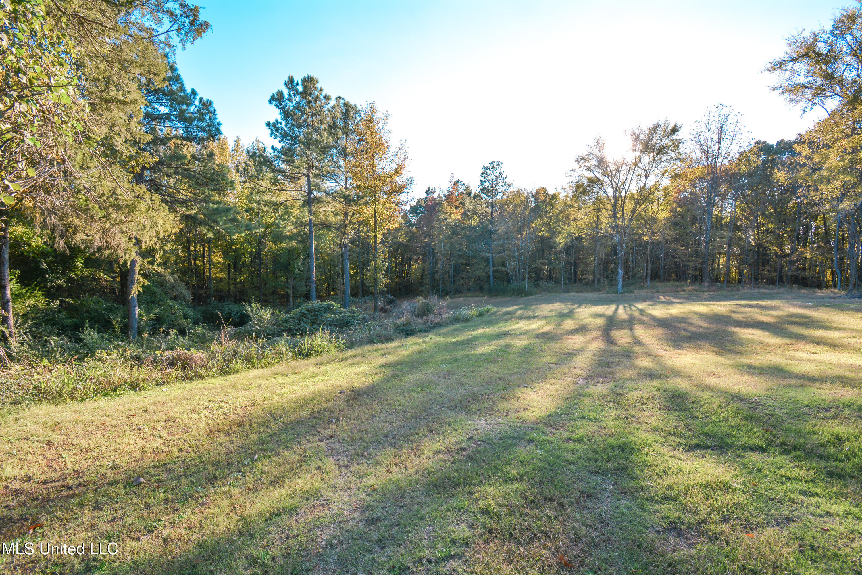 1459 French Road Byhalia, MS 38611 - Photo 6 of 51 DSC_0093