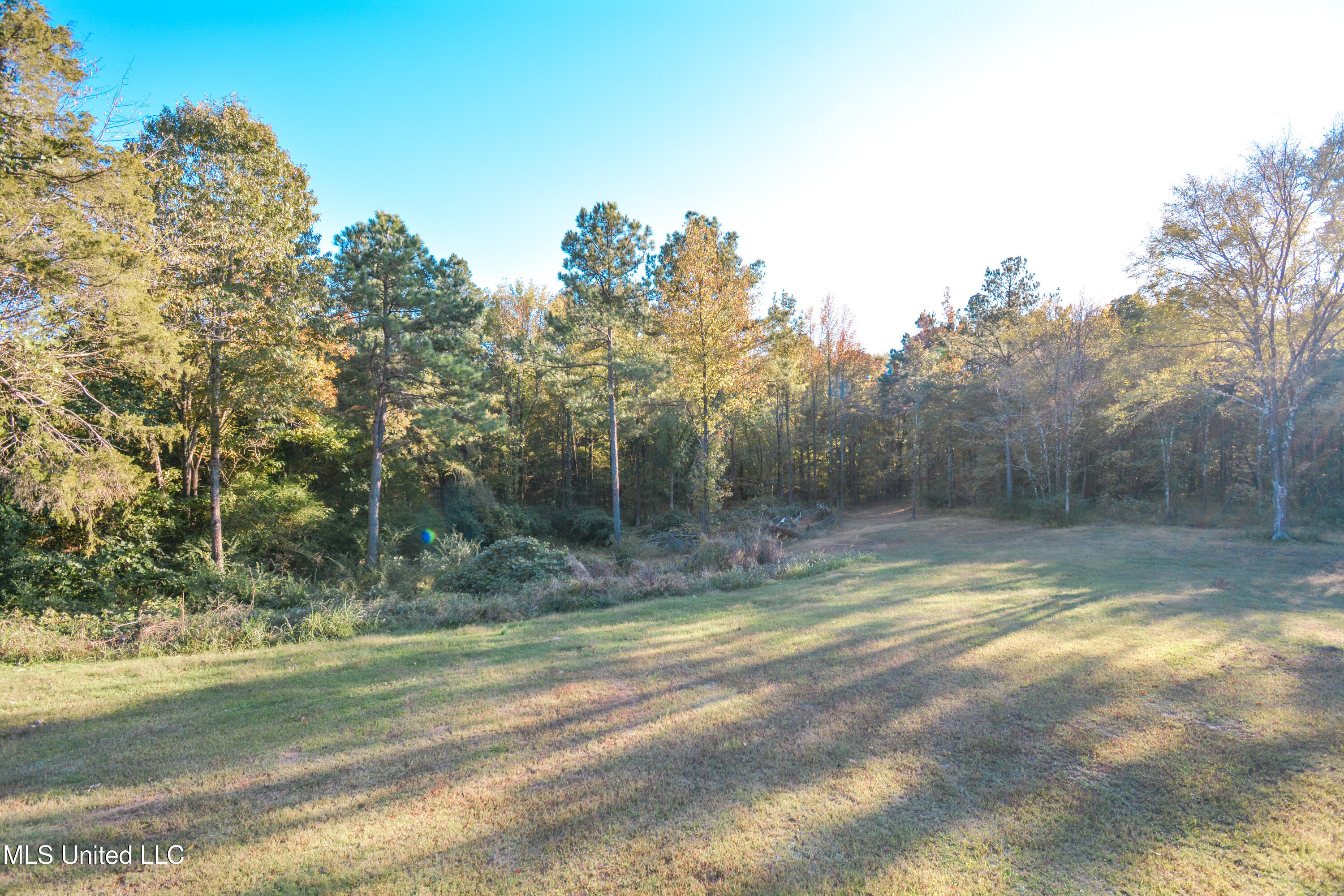 1459 French Road Byhalia, MS 38611 - Photo 9 of 51 DSC_0098