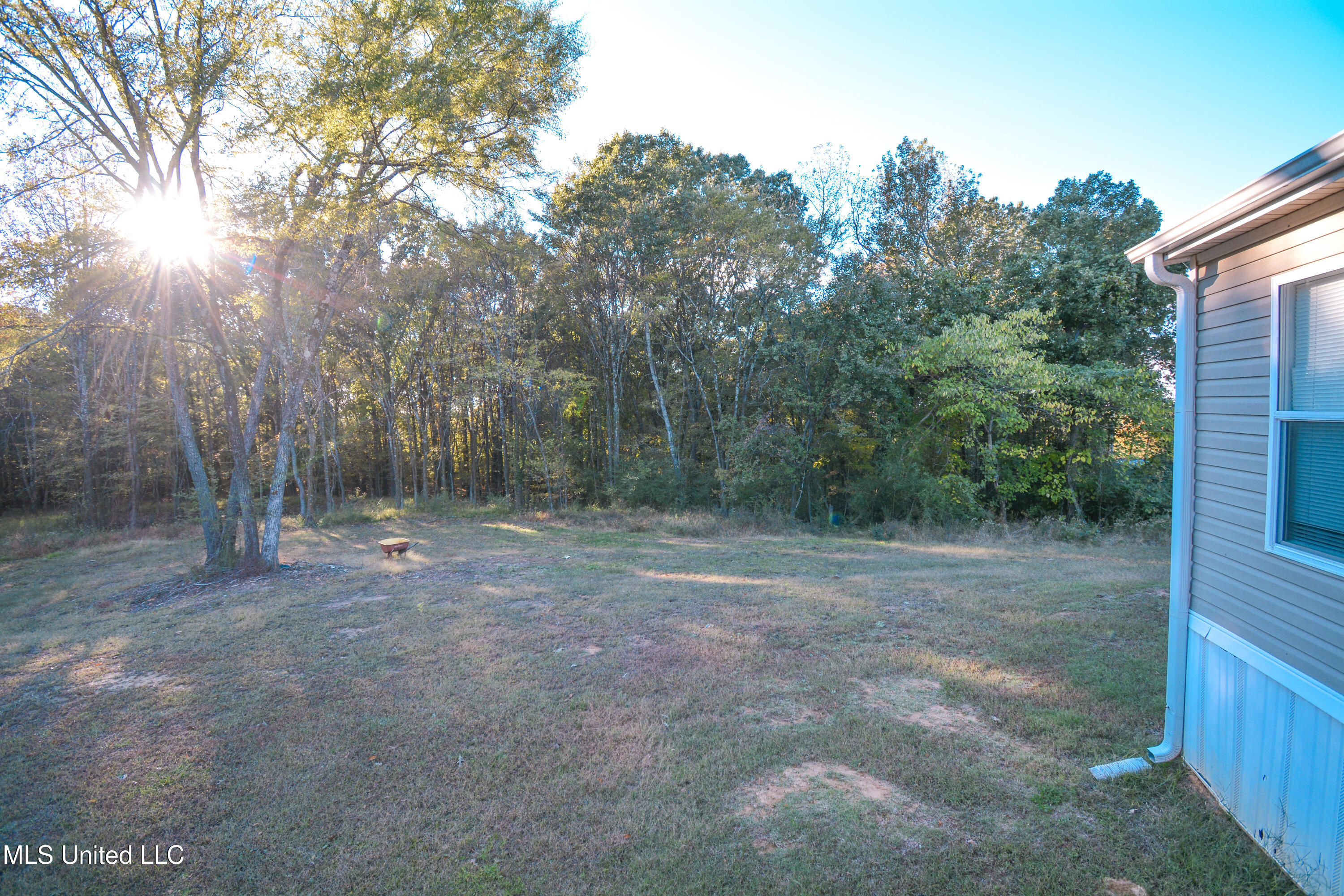 1459 French Road Byhalia, MS 38611 - Photo 10 of 51 DSC_0099