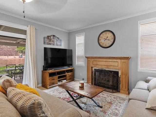 a living room with furniture a flat screen tv and a fireplace