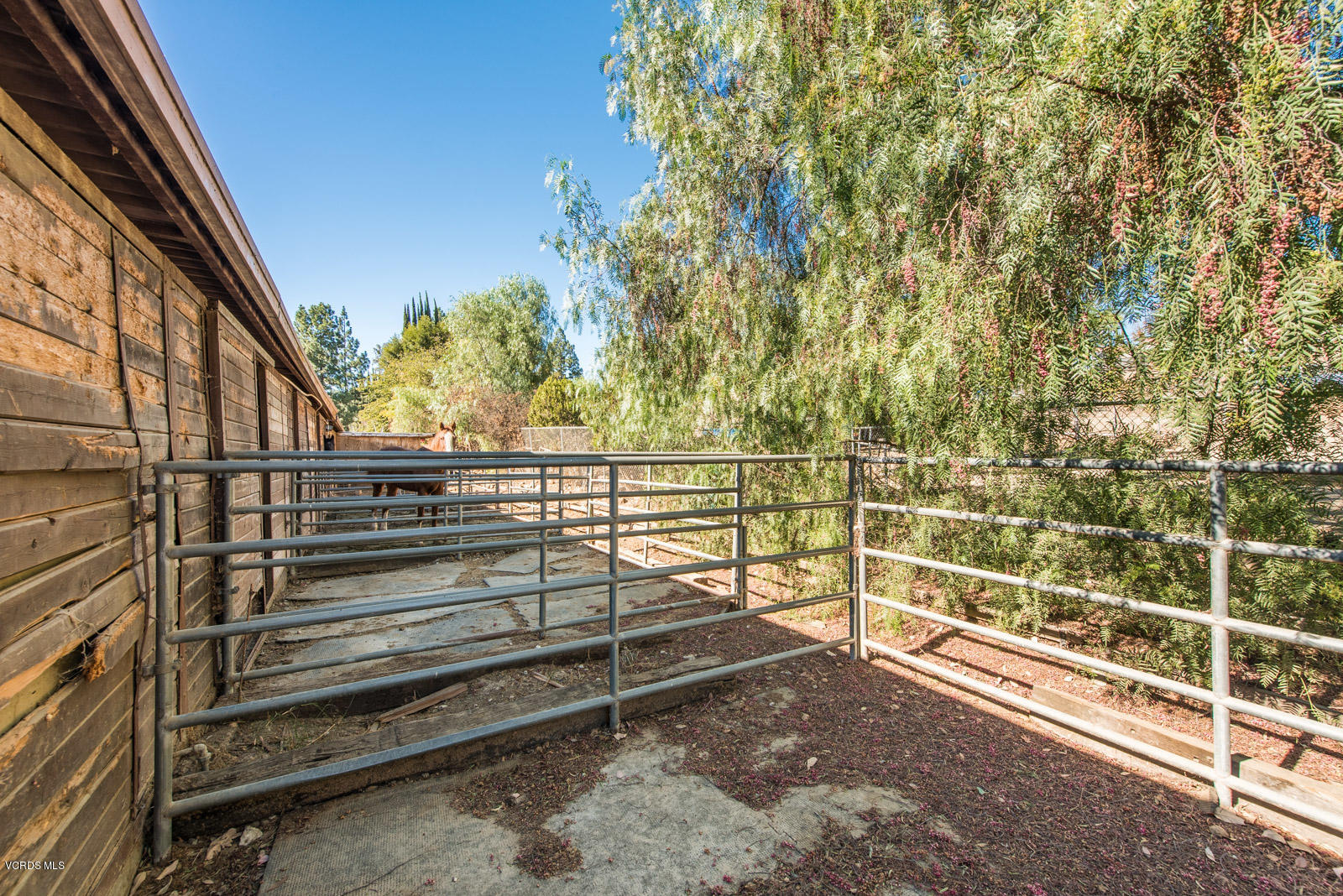 1366 Rambling Road Simi Valley, CA 93065 - Photo 32 of 47 MLS 1366 Rambling Rd Simi Valley-33