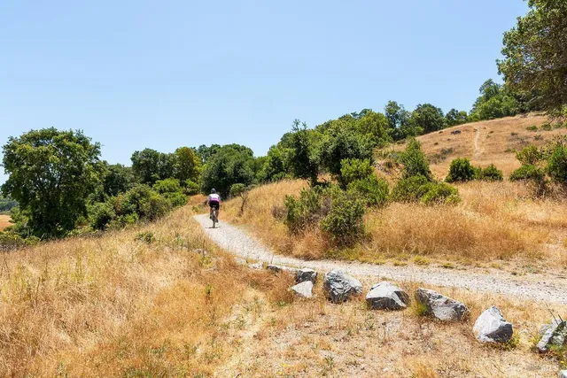 $16,000 | 1100 Bayhills Drive, San Rafael, CA 94903