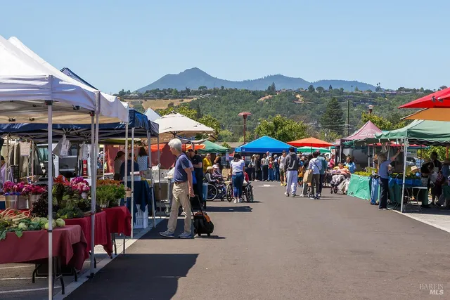 $16,000 | 1100 Bayhills Drive, San Rafael, CA 94903