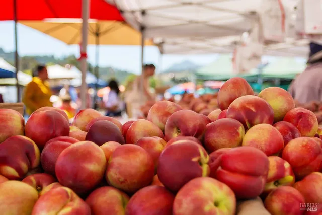 $16,000 | 1100 Bayhills Drive, San Rafael, CA 94903