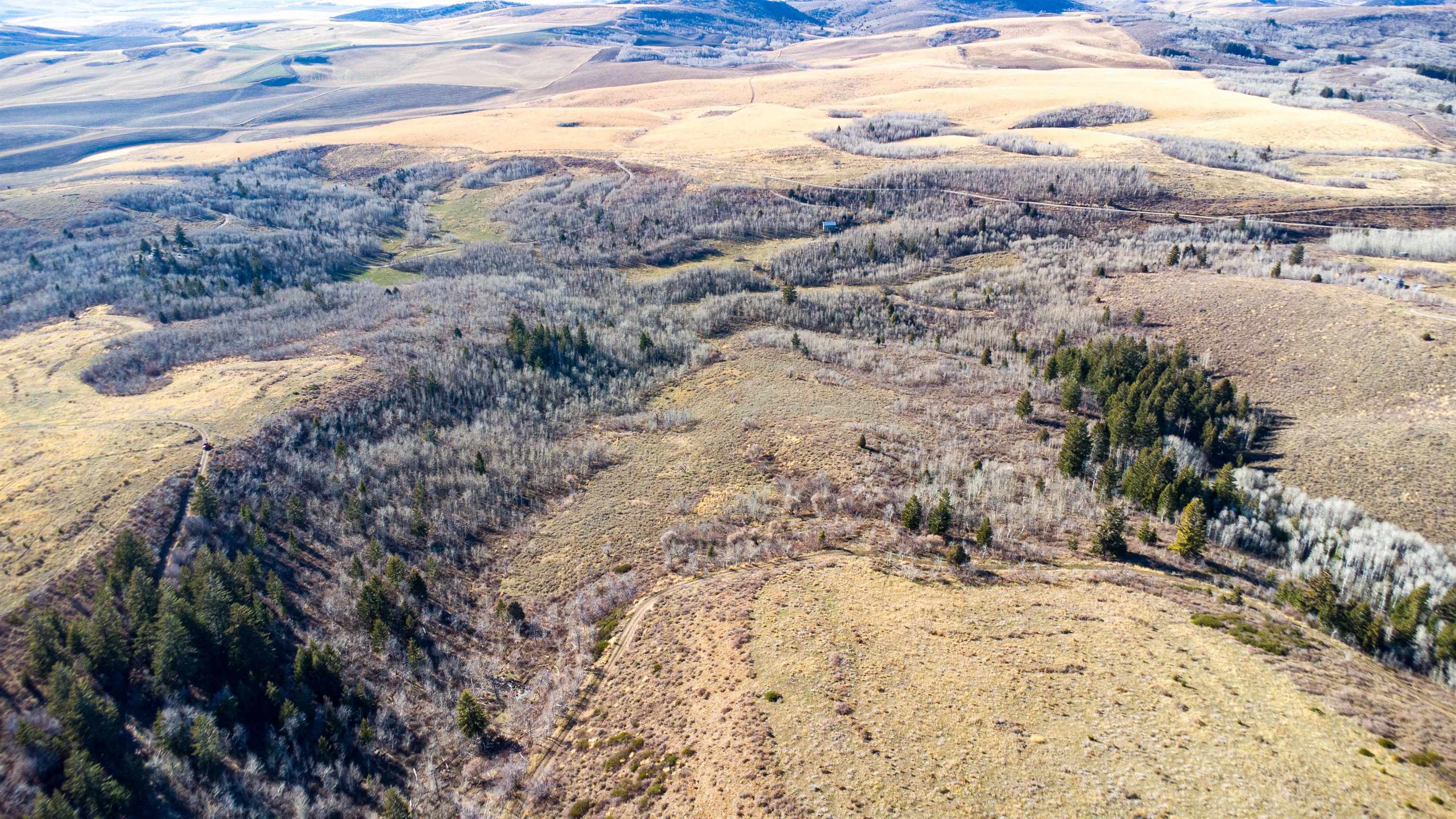 Mercer Creek Road Arimo, ID 83214 - Photo 13 of 23 Gallery Image 13