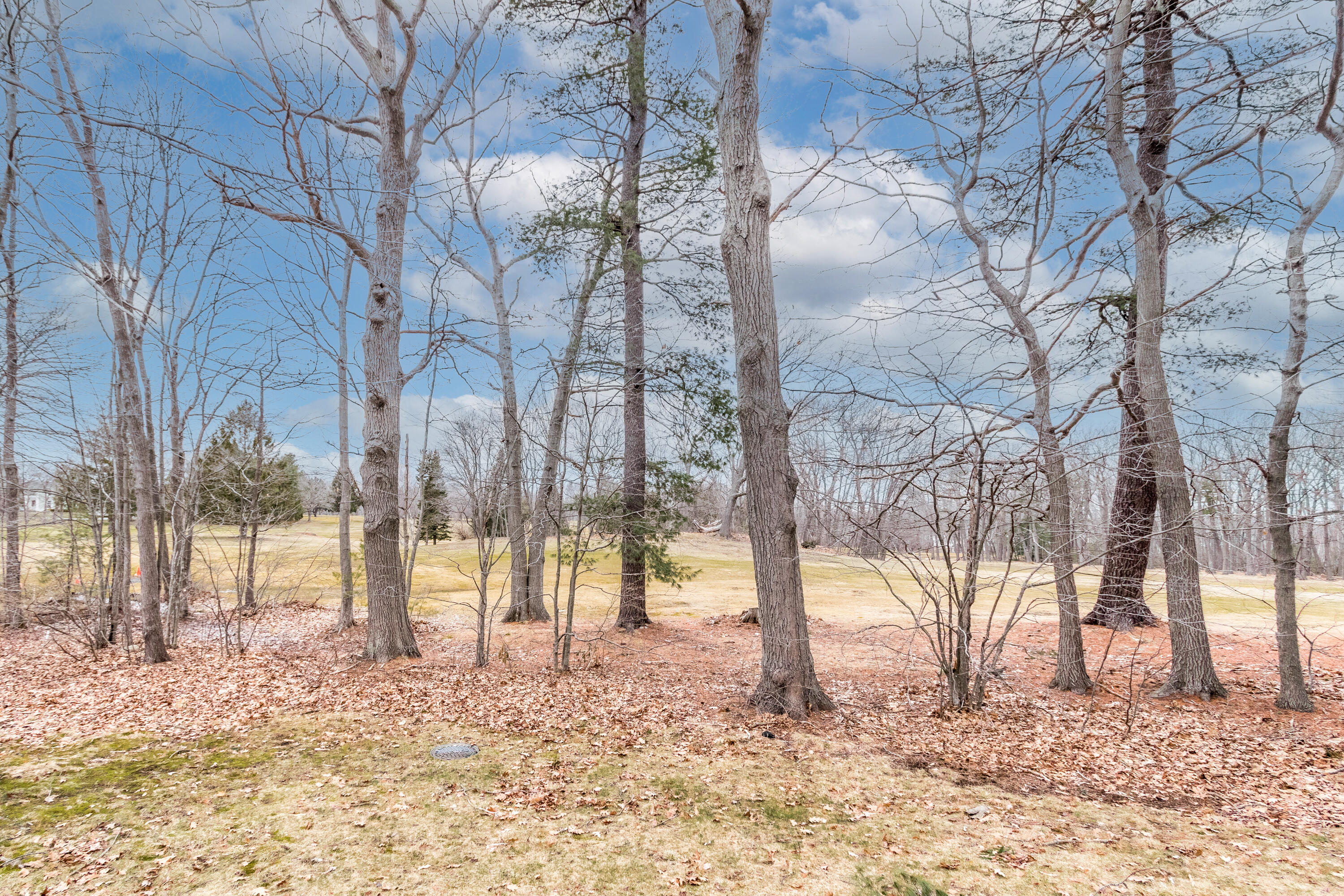 195 Wescott Road, Unit 3 South Portland, ME 04106 - Photo 73 of 84 20220331HL-71091