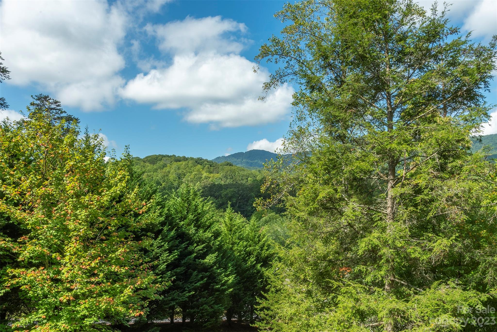 31 Creek Run Road Candler, NC 28715 - Photo 36 of 48 Gallery Image 36