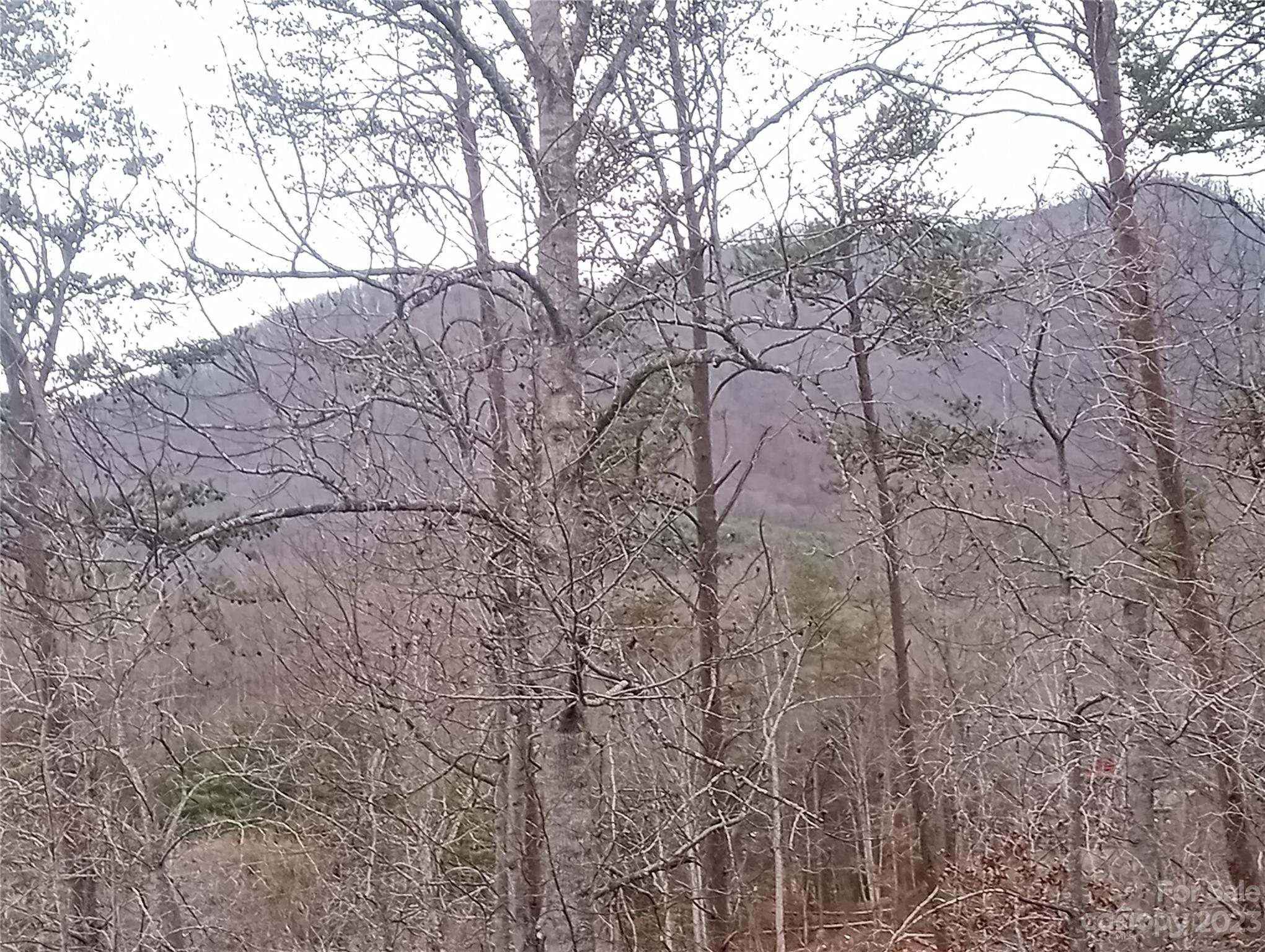 31 Creek Run Road Candler, NC 28715 - Photo 47 of 48 Gallery Image 47