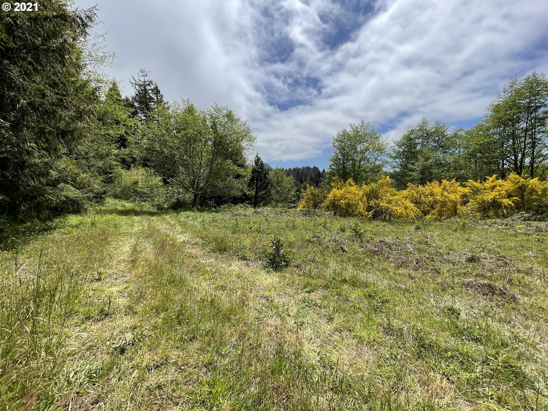 19550 Blanchard Road Cloverdale, OR 97112 - Photo 4 of 13 Gallery Image 4