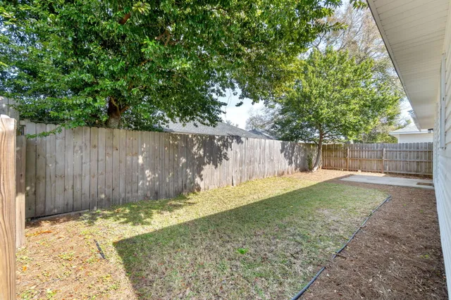 a view of a backyard with wooden fence and a large tree