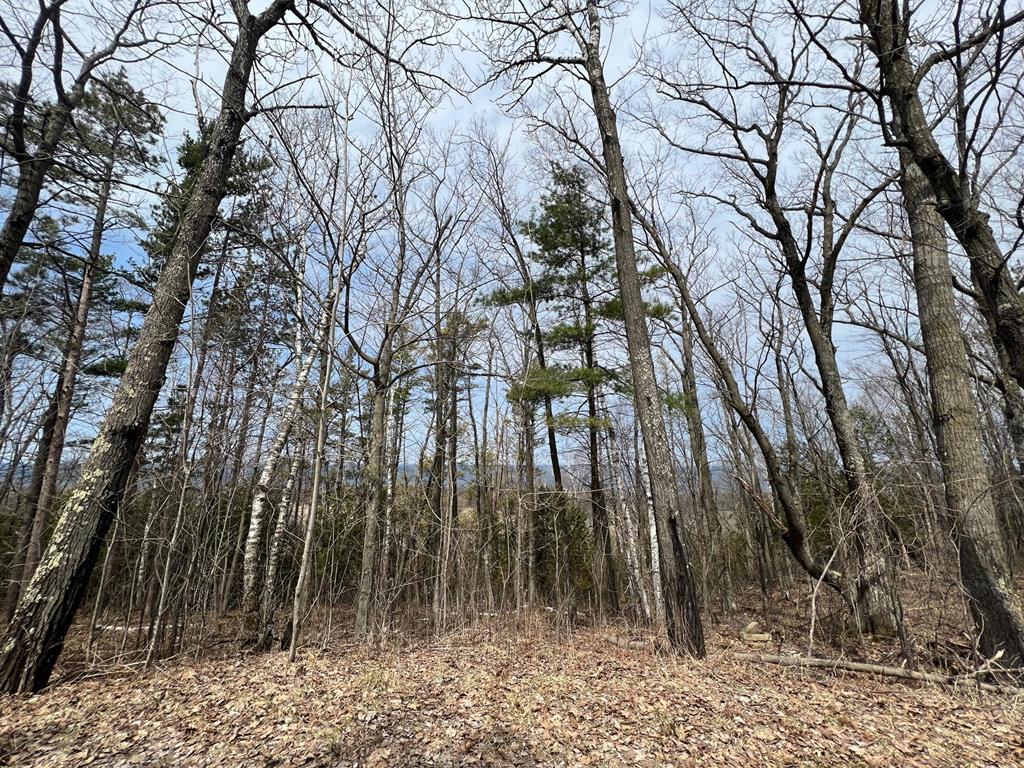 Lot 5 High Bluff Estates Road Sturgeon Bay, WI 54235 - Photo 7 of 7 Gallery Image 7