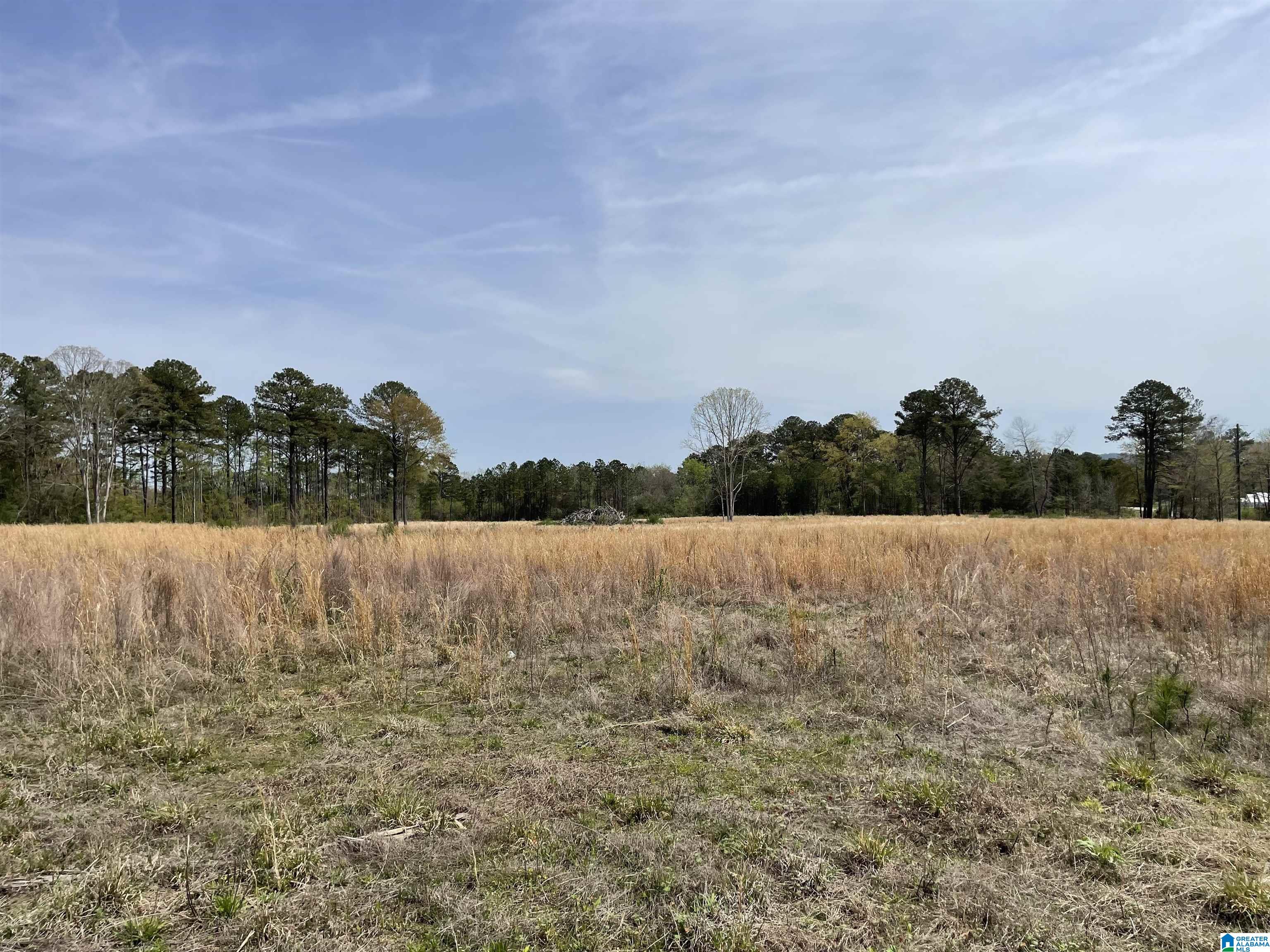 0 Greensport Road Ashville, AL 35953 - Photo 30 of 43