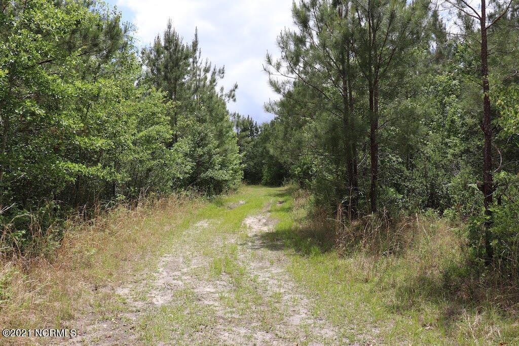 0 Rosindale Road Council, NC 28434 - Photo 11 of 34 11