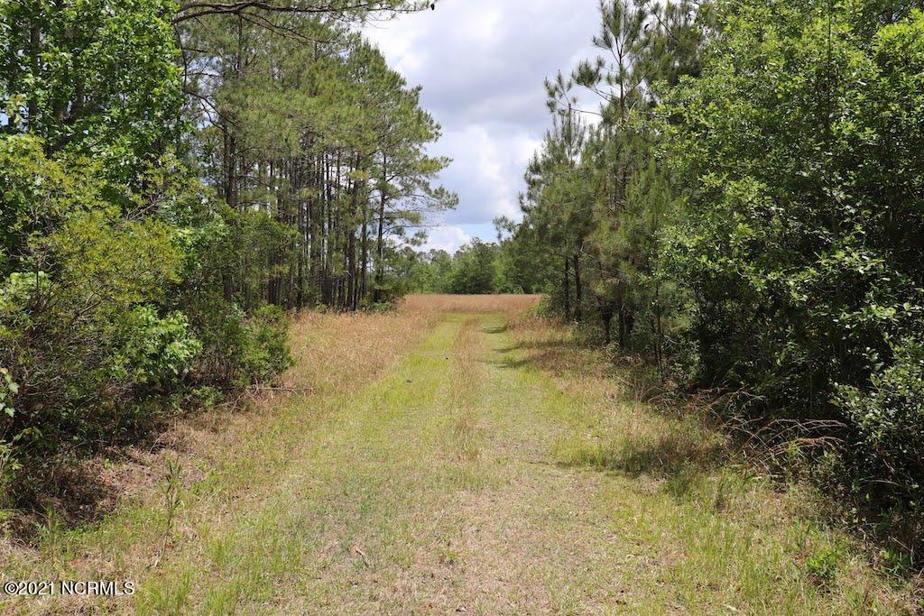 0 Rosindale Road Council, NC 28434 - Photo 12 of 34 12
