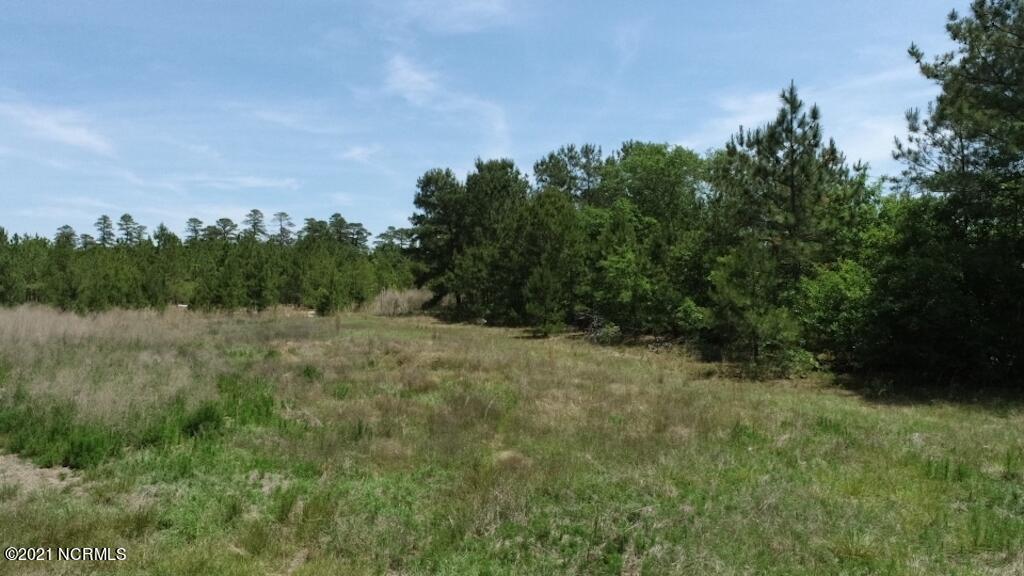 0 Rosindale Road Council, NC 28434 - Photo 14 of 34 14