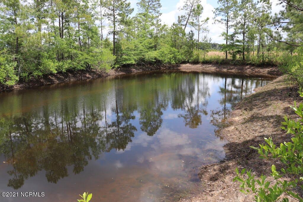 0 Rosindale Road Council, NC 28434 - Photo 18 of 34 18