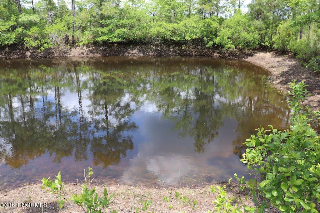 0 Rosindale Road Council, NC 28434 - Photo 20 of 34 21