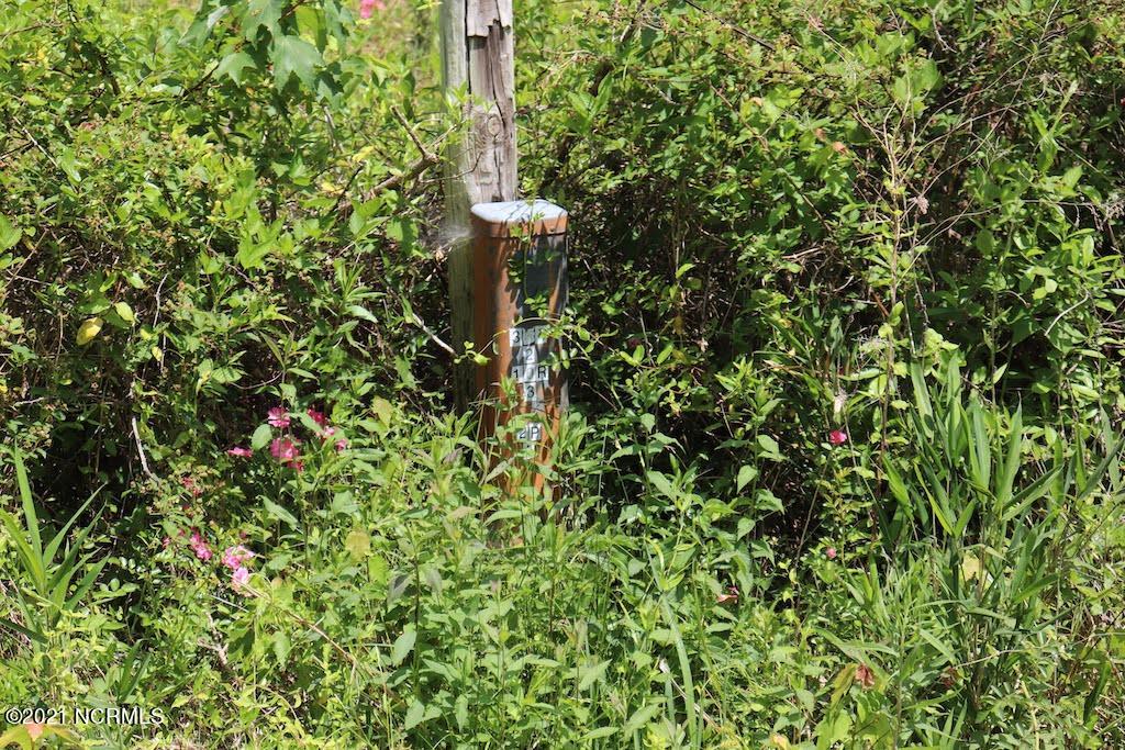 0 Rosindale Road Council, NC 28434 - Photo 21 of 34 22