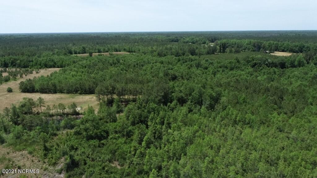 0 Rosindale Road Council, NC 28434 - Photo 25 of 34 26