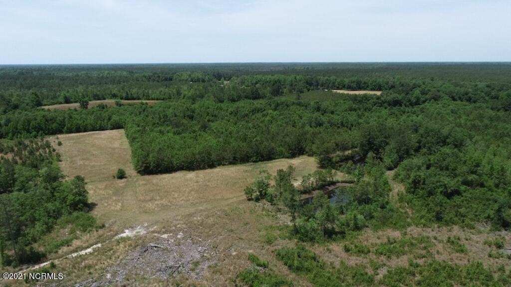 0 Rosindale Road Council, NC 28434 - Photo 26 of 34 27
