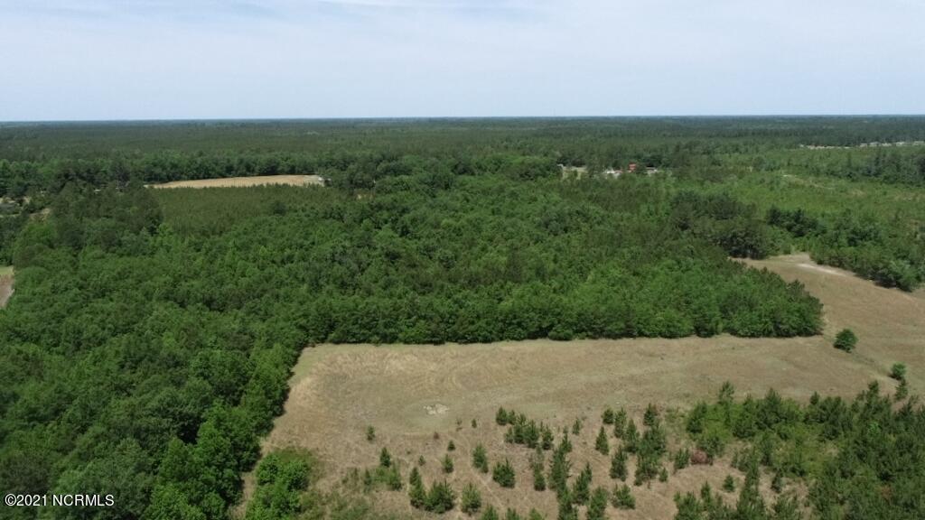 0 Rosindale Road Council, NC 28434 - Photo 28 of 34 29