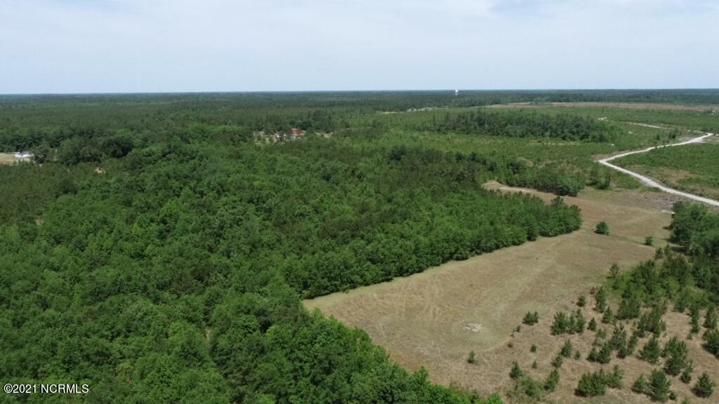 0 Rosindale Road Council, NC 28434 - Photo 29 of 34 30