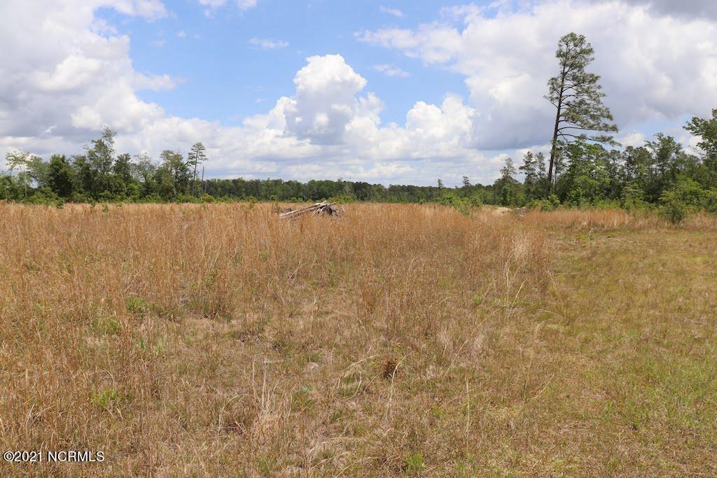 0 Rosindale Road Council, NC 28434 - Photo 4 of 34 4