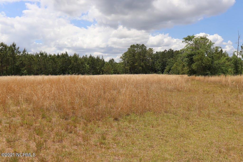 0 Rosindale Road Council, NC 28434 - Photo 5 of 34 5