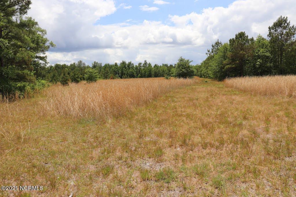 0 Rosindale Road Council, NC 28434 - Photo 6 of 34 6