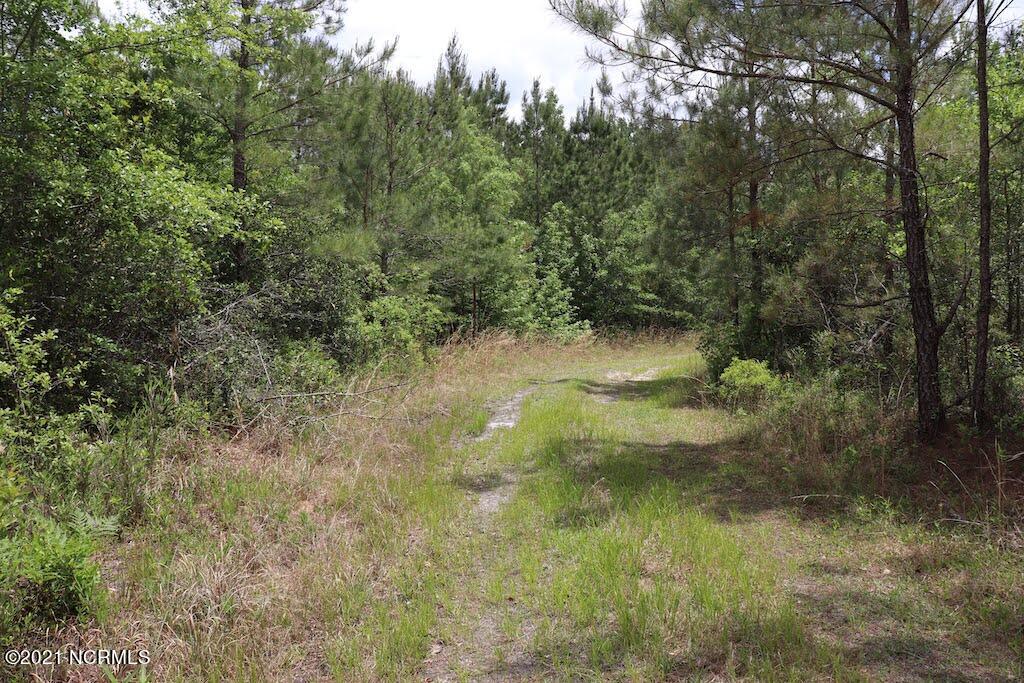 0 Rosindale Road Council, NC 28434 - Photo 10 of 34 10