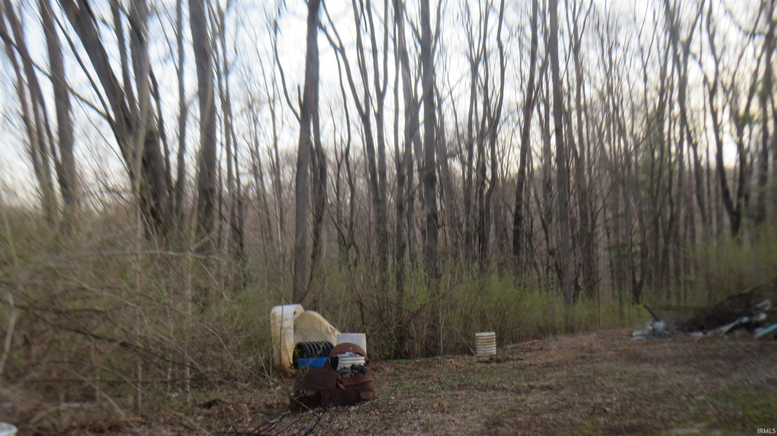 6295 Logansport Road Logansport, IN 46947 - Photo 6 of 30